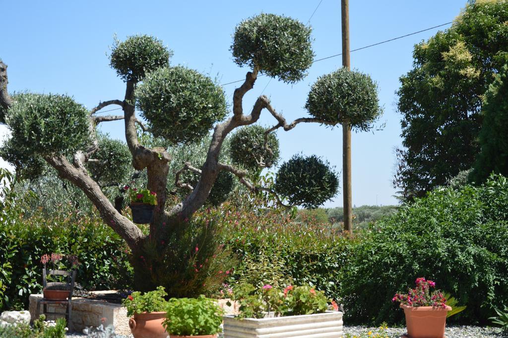 Bed and Breakfast Casa Delle Rondini Alberobello Exterior foto